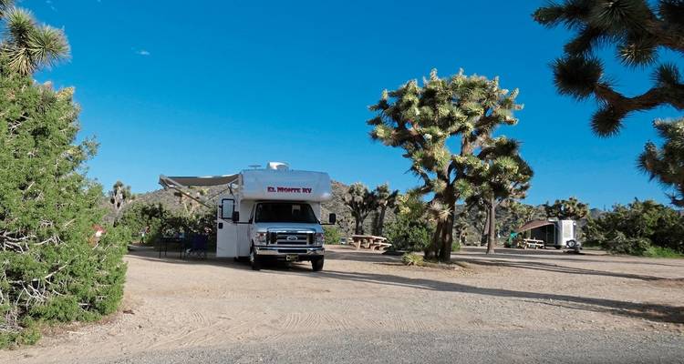 RV parked near Joshua trees in a desert landscape.
