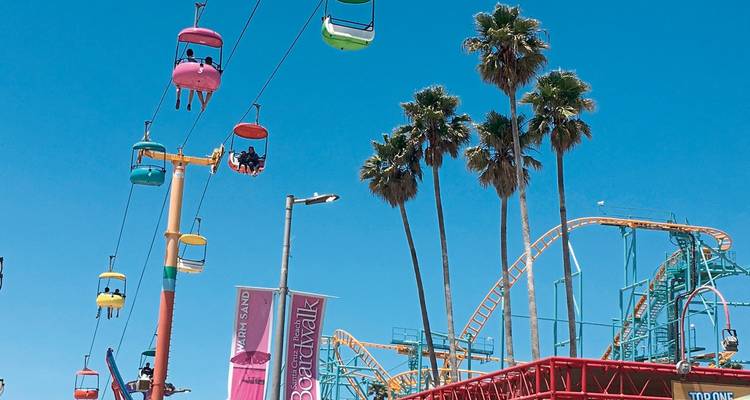 Amusement park with roller coaster and tall palm trees.