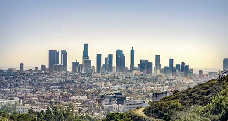 City skyline view from a hilltop.