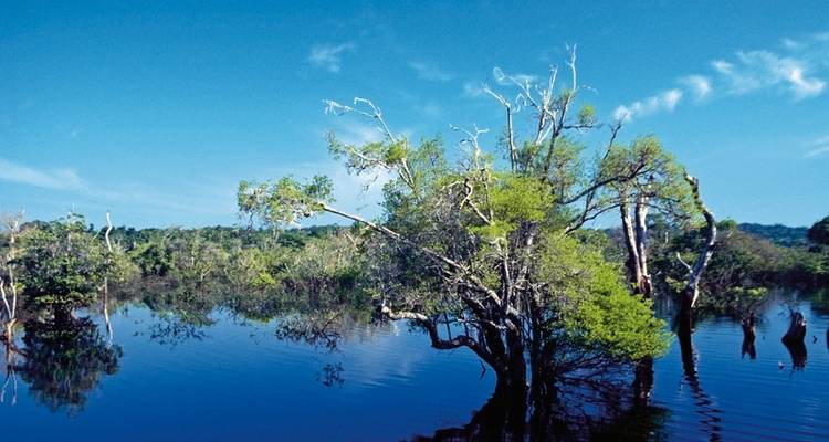 Brazil Intensive - From the Amazon to Africa - DERTOUR 8