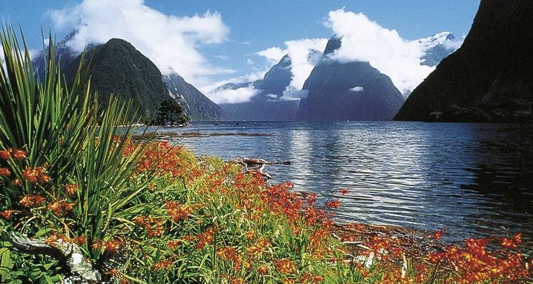 Paisaje de Fiordland con flores vibrantes y montañas.