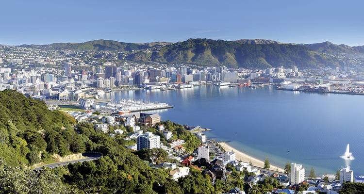 Aerial view of a coastal city with a harbor.