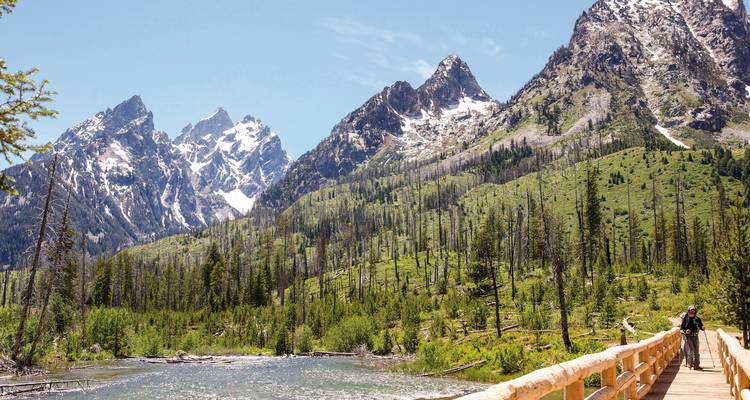 Pont en bois menant à travers une forêt verdoyante luxuriante avec des montagnes enneigées en arrière-plan.