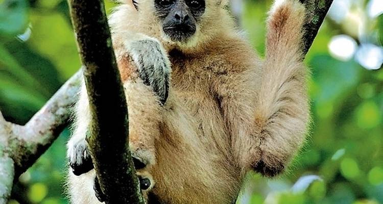 Khao Yai National Park - DERTOUR 3
