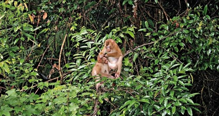 Khao Yai National Park - DERTOUR 6