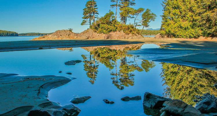Spiegelungen von Bäumen in einer ruhigen Küstenwasserlandschaft.