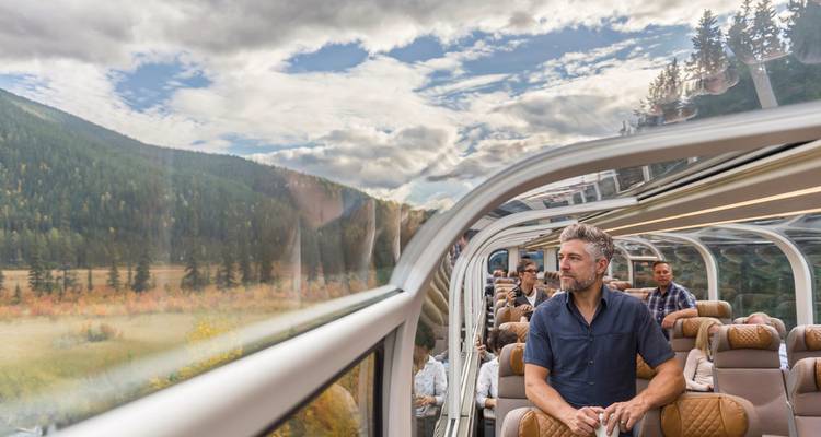Passagers à l'intérieur d'un train panoramique admirant les paysages naturels.