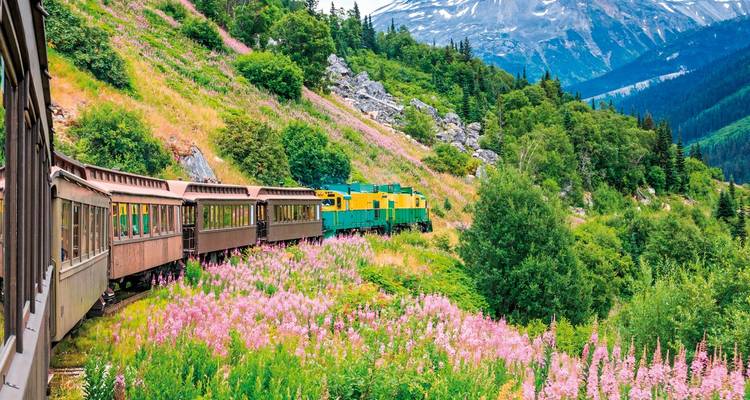 Tren atravesando un paisaje montañoso with flores vibrantes.