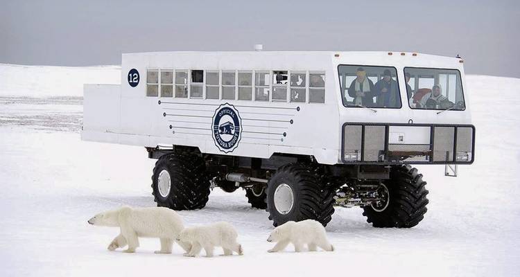 Expérience des îles glacées avec Tundra Buggy Lodge (6 nuits) - DERTOUR 7
