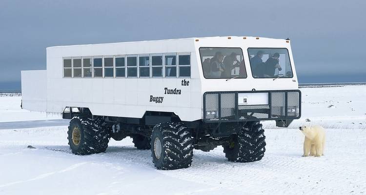 Expérience des îles glacées avec Tundra Buggy Lodge (6 nuits) - DERTOUR 8