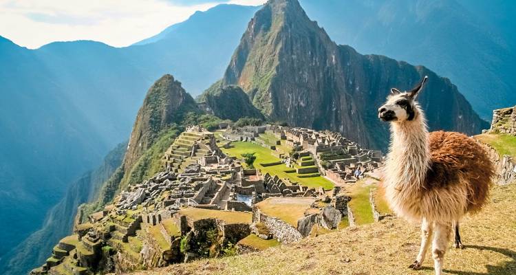 Blick auf Machu Picchu mit einem Lama im Vordergrund.