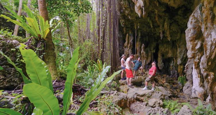 Groep die een weelderige groene grot met stalactieten verkent.