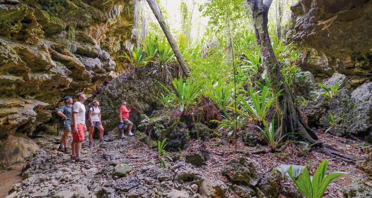 Groep mensen die een grot verkent met weelderige vegetatie eromheen.