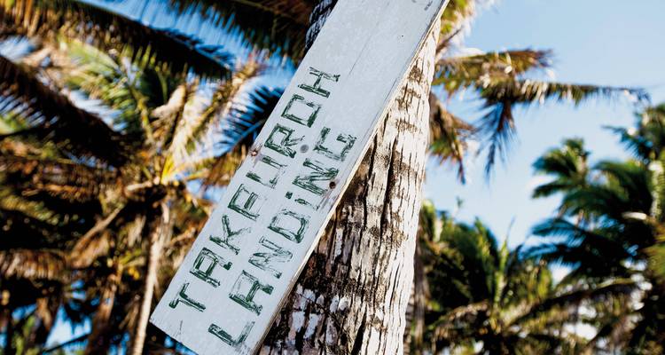 Een bord met de tekst 'Takeiroi Landing' bevestigd aan een palmboom met verschillende palmbomen op de achtergrond.