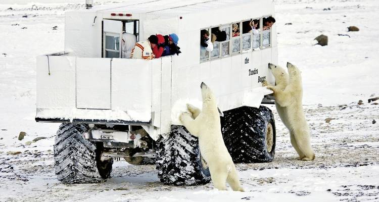 Ice barbarian experience with Tundra Buggy Lodge (4 nights) - DERTOUR 10