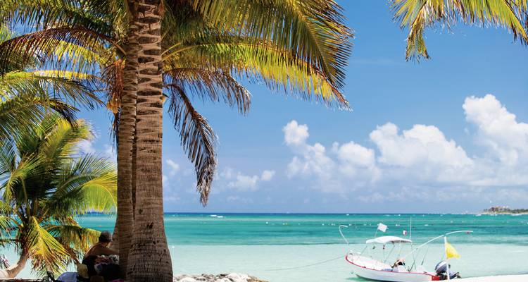 Een schilderachtig strand met palmbomen en een kleine boot op turquoise wateren.