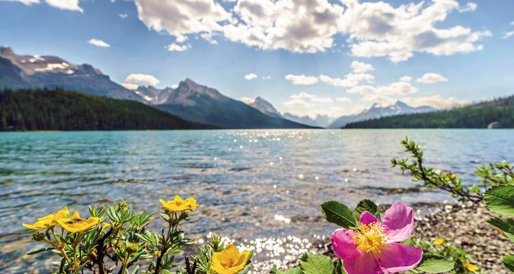 A tranquil lake with colorful flowers and mountains in the distance.
