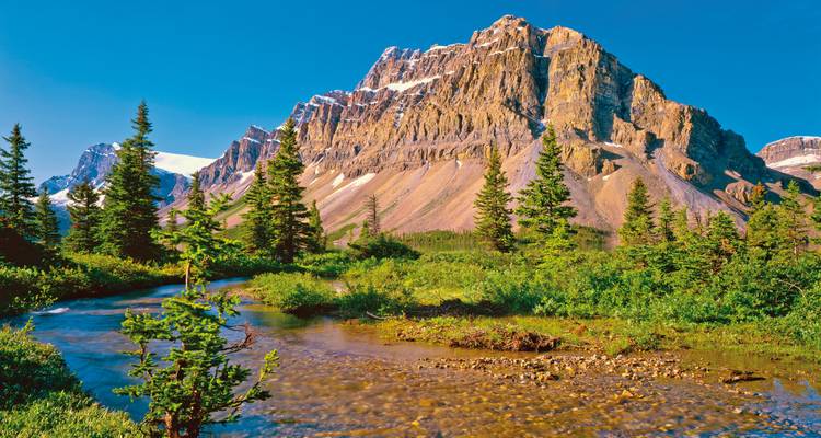 A jagged mountain peak with a stream and lush vegetation.
