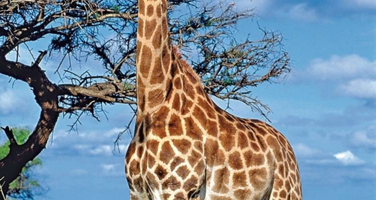 Go4South Africa - Adventure trip for the whole family - DERTOUR 7