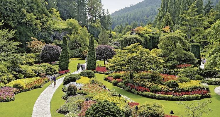 Schöner Garten mit einer Vielfalt an Pflanzen und Blumen.
