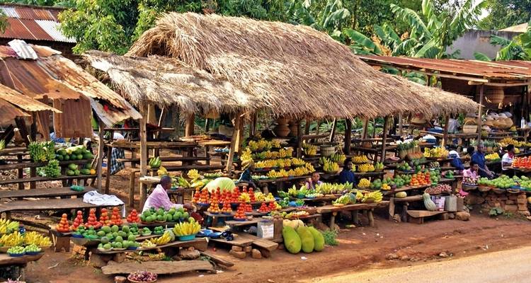 Vagabundos - Explorador de Uganda - DERTOUR 1