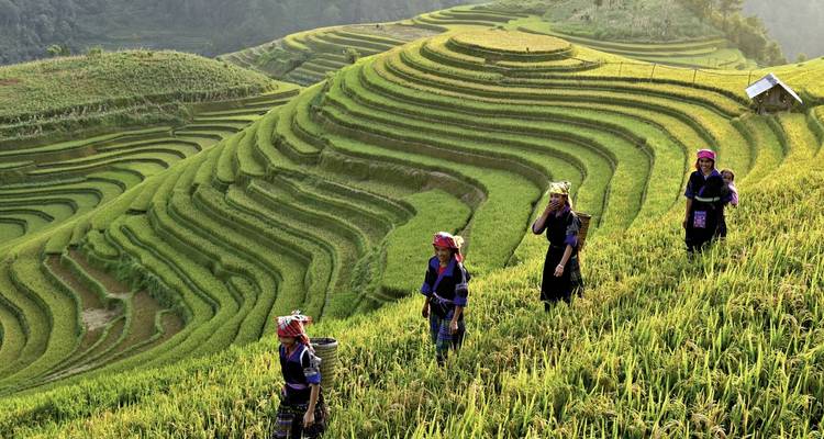 Terraced rice fields in a lush green valley with farmers.