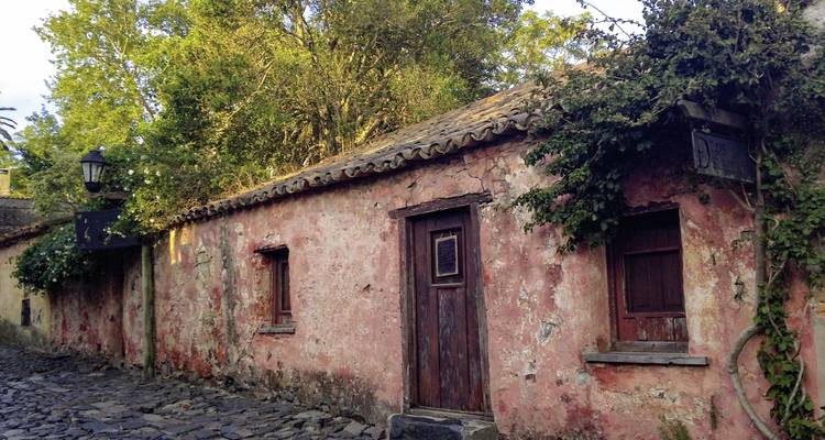 Tango, gauchos and fascinating metropolises - DERTOUR 9