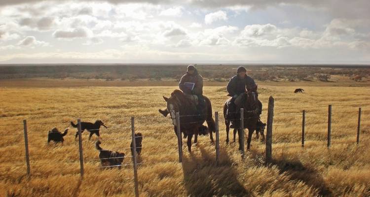 Descubre la Patagonia individualmente - DERTOUR 3