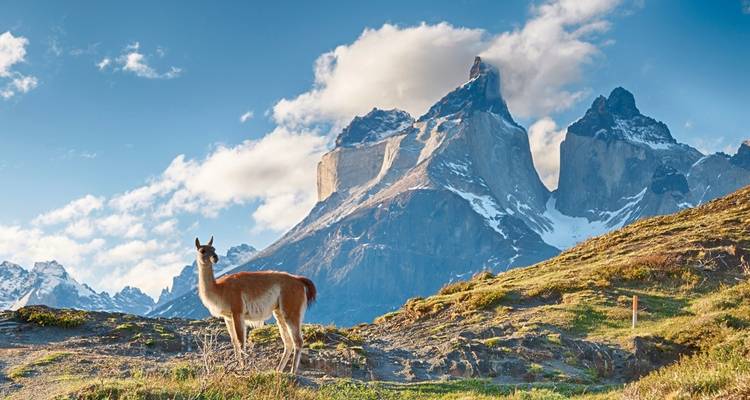 Descubre la Patagonia individualmente - DERTOUR 4
