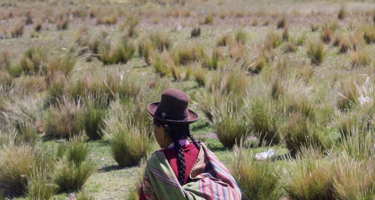 Highlights of Peru - DERTOUR 3