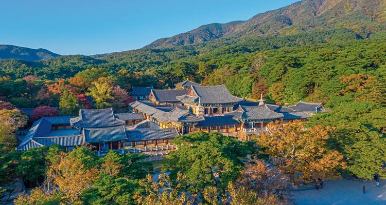 Traditioneller koreanischer Tempel eingebettet in lebendiges Herbstlaub.