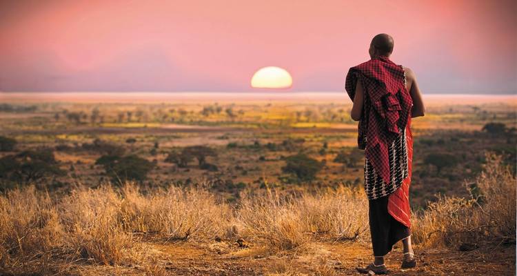 Persoon die een dramatische zonsondergang over een uitgestrekte savanne bekijkt.