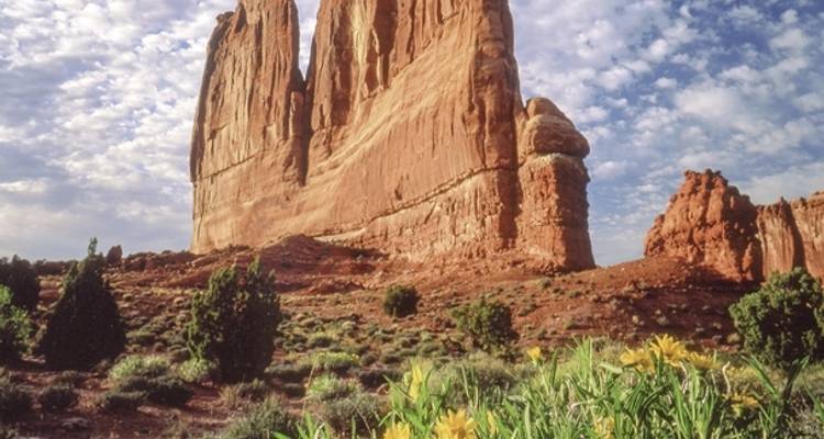 Las Vegas & the National Parks - DERTOUR 8