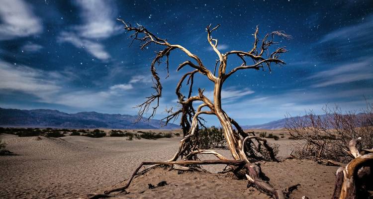 Las Vegas & the National Parks - DERTOUR 9