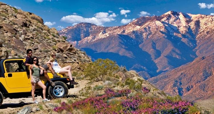 Valeurs occidentales - DERTOUR 8