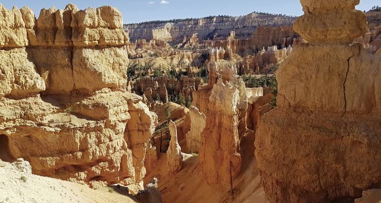 Valores occidentales - DERTOUR 8