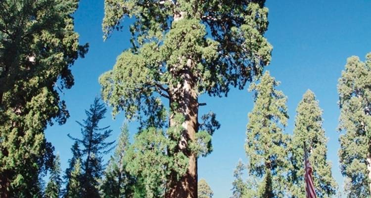 Great West: Los Angeles and San Francisco - DERTOUR 5