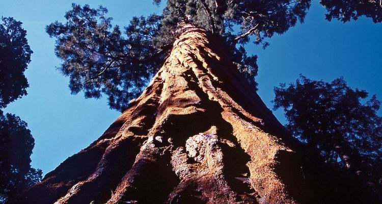 Great West: Los Angeles and San Francisco - DERTOUR 8