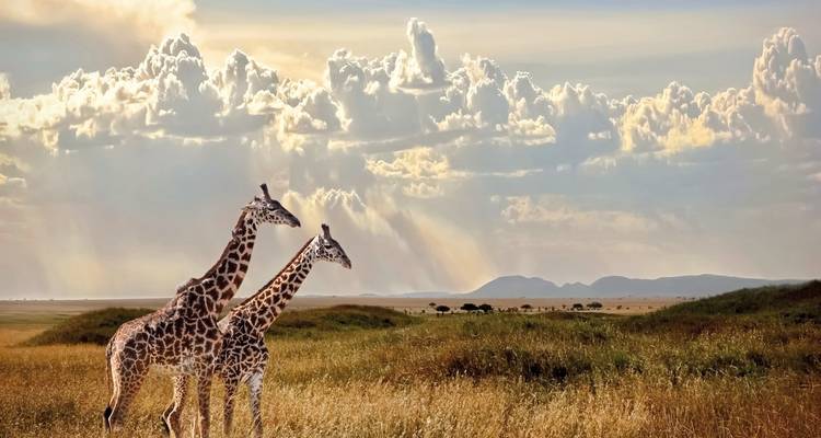 Magical Tanzania - DERTOUR 1