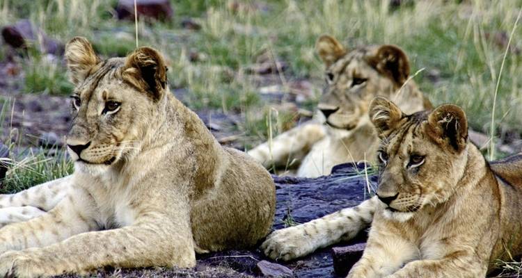 Magical Tanzania - DERTOUR 6