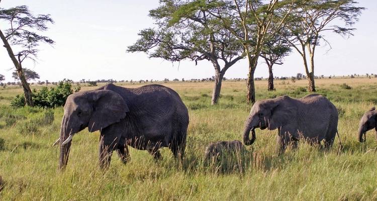 Karibu Kenya (voyage privé) - DERTOUR 6