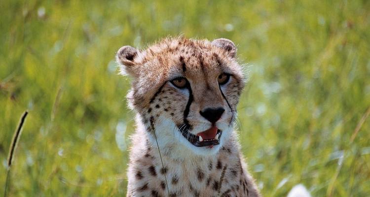 Karibu Kenya (private tour) - DERTOUR 5