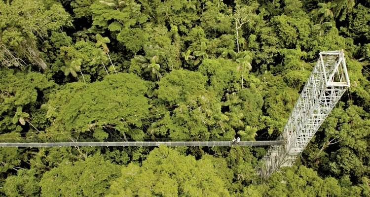 Aventure en Amazonie - Sacha Lodge (3 nuits) - DERTOUR 10