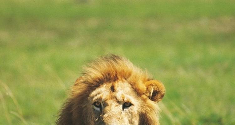 Tsavo Aventure (voyage privé) - DERTOUR 1