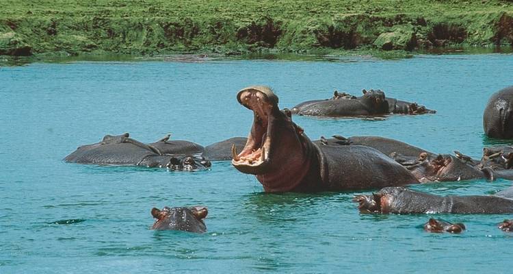 Tsavo Aventure (voyage privé) - DERTOUR 2
