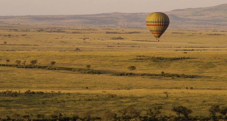 Montgolfière flottant au-dessus d'un vaste paysage de savane.