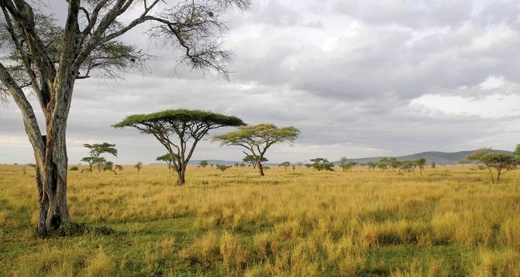 Drifters - Explorador de Kenia y Tanzania - DERTOUR 5