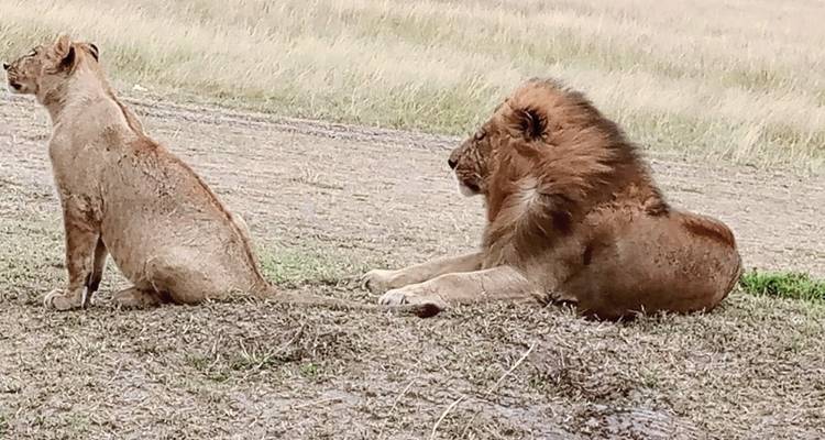 Drifters - Explorador de Kenia y Tanzania - DERTOUR 4