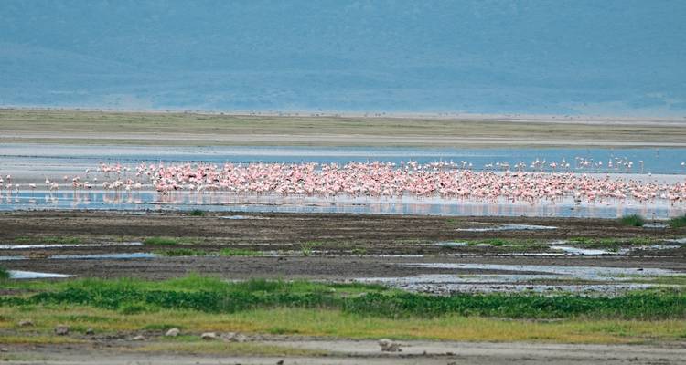 Drifters - Explorador de Kenia y Tanzania - DERTOUR 7