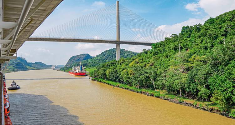 Een kanaal met een vrachtschip dat onder een hoge brug doorvaart, omringd door weelderig groen.